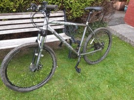 avigo mammoth fat bike